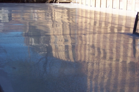  Polish Concrete - Fonolic Finish